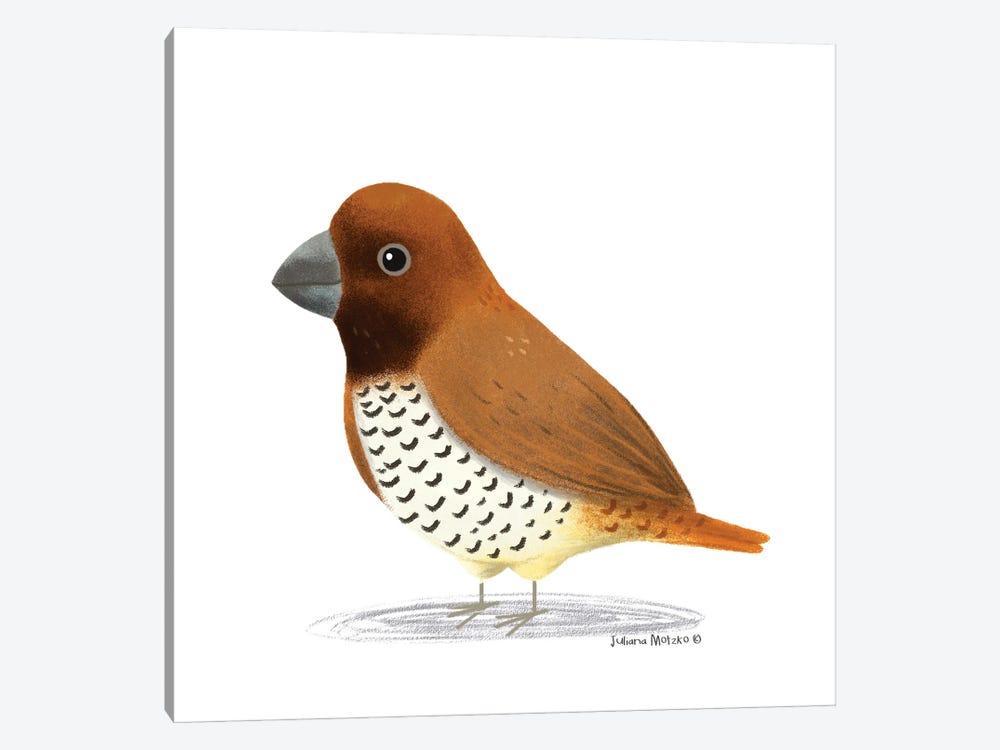 Spice Finch Bird by Juliana Motzko 1-piece Canvas Print
