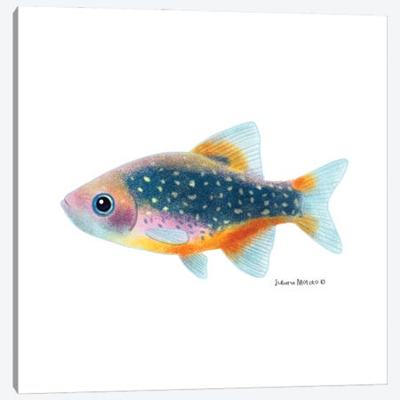 Celestial Pearl Danio Fish Canvas Print #JMK220} by Juliana Motzko Art Print