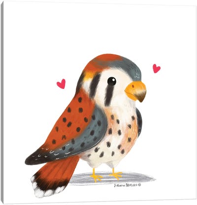American Kestrel Bird With Little Hearts Canvas Art Print - Juliana Motzko