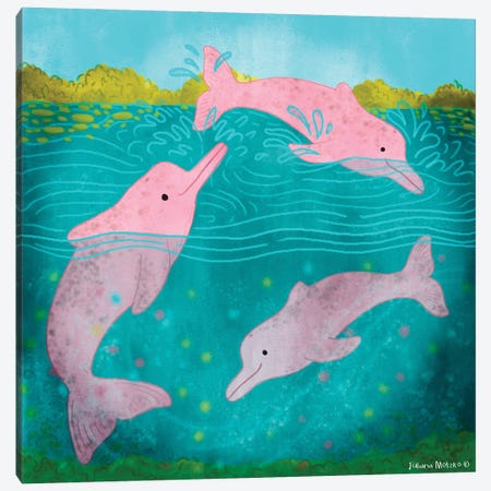 Pink Amazon River Dolphins Having Fun Canvas Print #JMK243} by Juliana Motzko Canvas Art Print