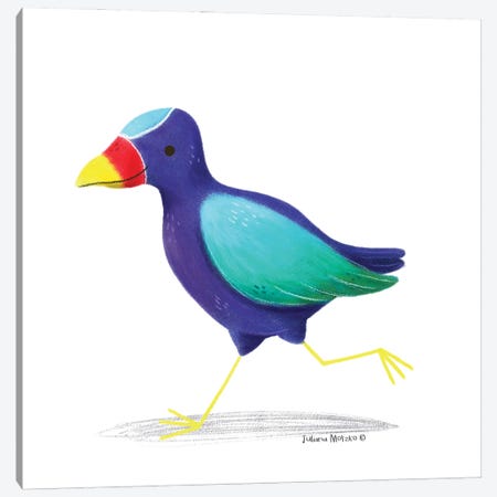 American Purple Gallinule Bird Canvas Print #JMK24} by Juliana Motzko Canvas Art Print