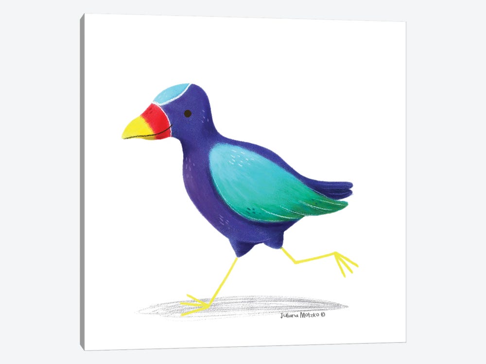 American Purple Gallinule Bird by Juliana Motzko 1-piece Canvas Print
