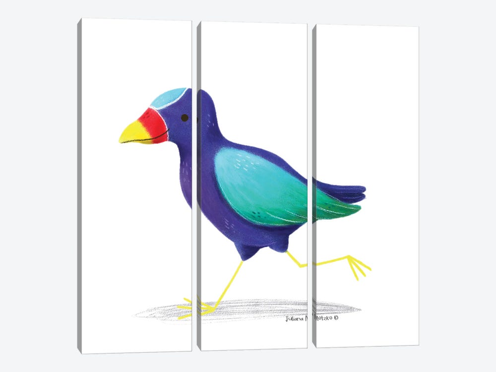 American Purple Gallinule Bird by Juliana Motzko 3-piece Canvas Art Print