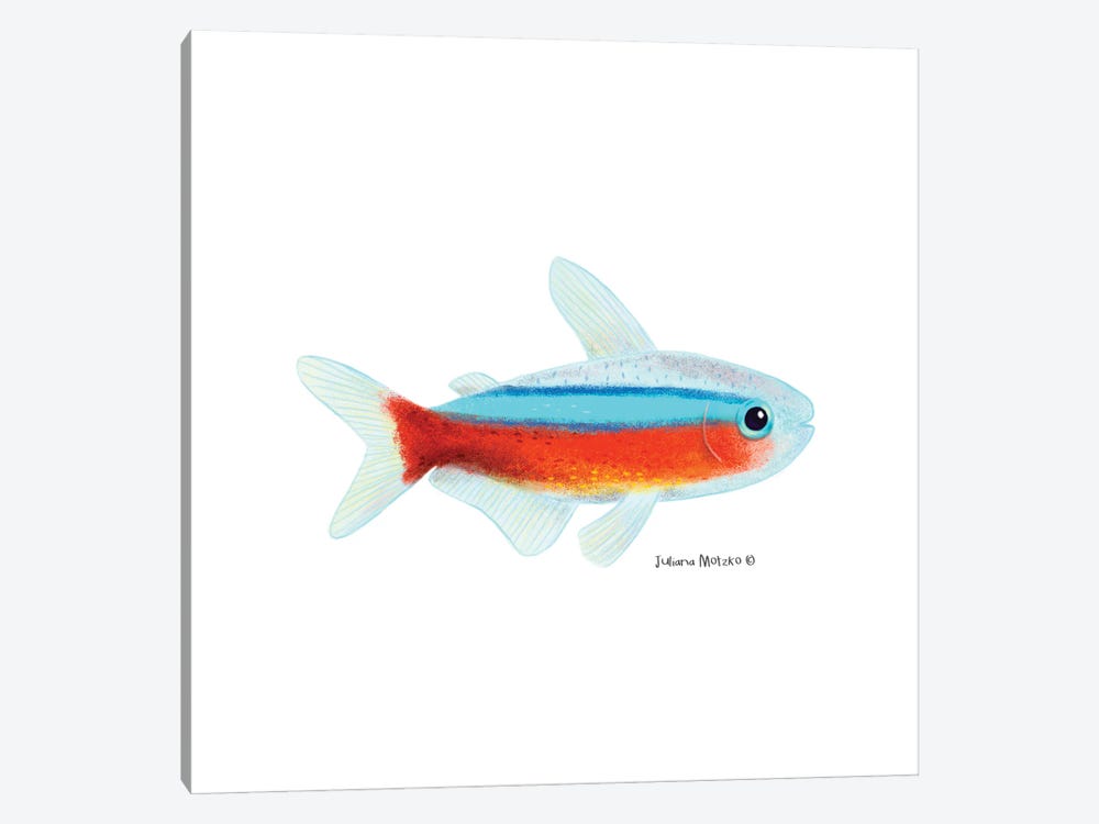 Cardinal Tetra Fish 1-piece Canvas Art