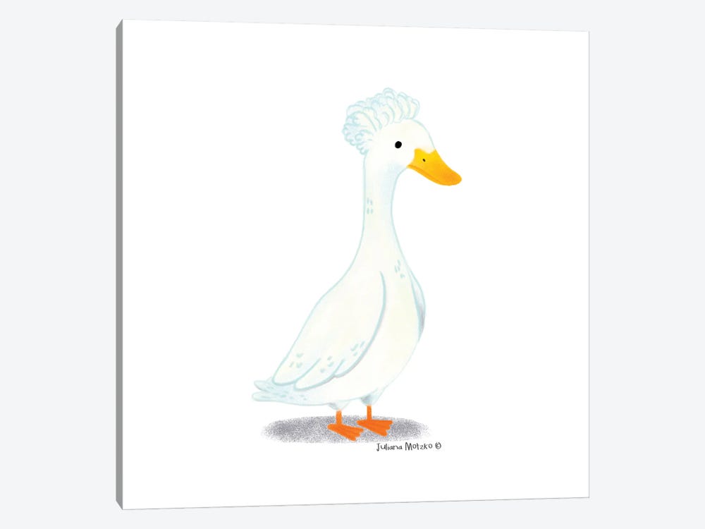 Crested Duck by Juliana Motzko 1-piece Canvas Wall Art