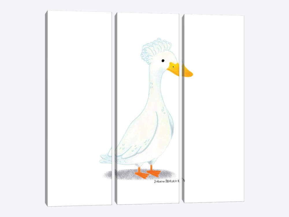 Crested Duck by Juliana Motzko 3-piece Canvas Wall Art