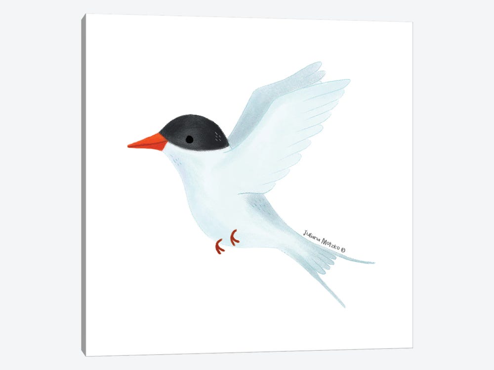 Arctic Tern Bird by Juliana Motzko 1-piece Canvas Art Print