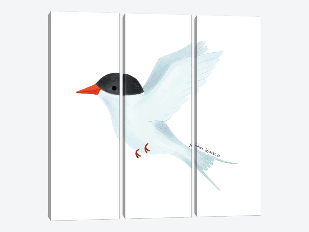 Arctic Tern Bird by Juliana Motzko 3-piece Canvas Print