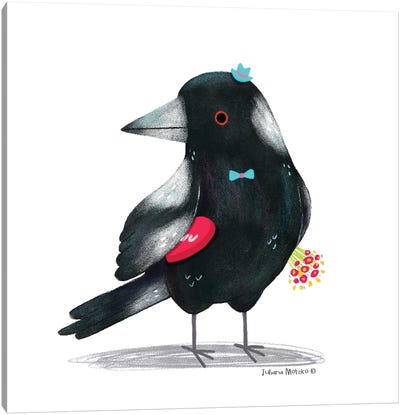 Australian Magpie Bird With Flowers And Chocolate Box Canvas Art Print - Juliana Motzko