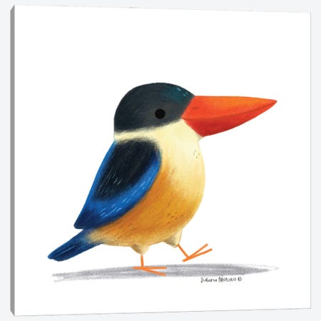 Black Capped Kingfisher Bird Canvas Print #JMK44} by Juliana Motzko Canvas Print