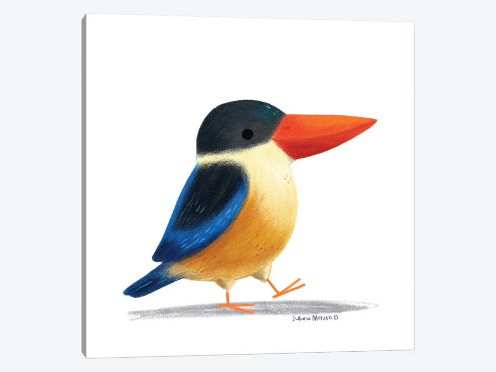 Black Capped Kingfisher Bird by Juliana Motzko 1-piece Canvas Print