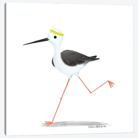 Black Winged Stilt Bird Canvas Print #JMK45} by Juliana Motzko Art Print