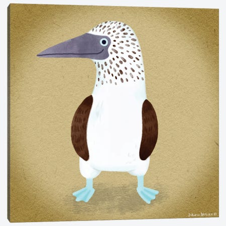 Blue Footed Booby Bird Canvas Print #JMK49} by Juliana Motzko Canvas Artwork