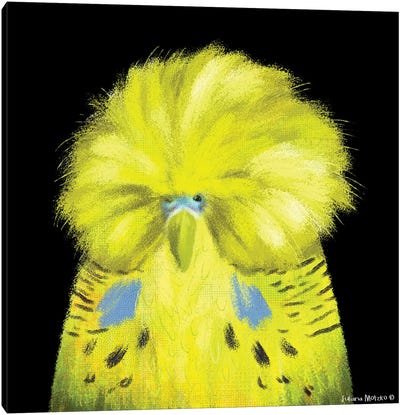 English Budgerigar Bird Canvas Art Print - Juliana Motzko