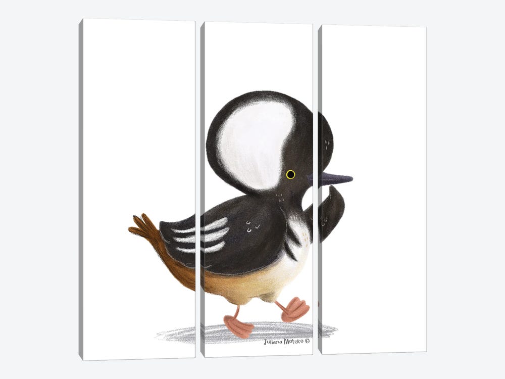 Hooded Merganser Duck by Juliana Motzko 3-piece Canvas Art