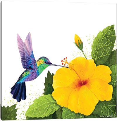 Hummingbird And Hibiscus Canvas Art Print - Juliana Motzko