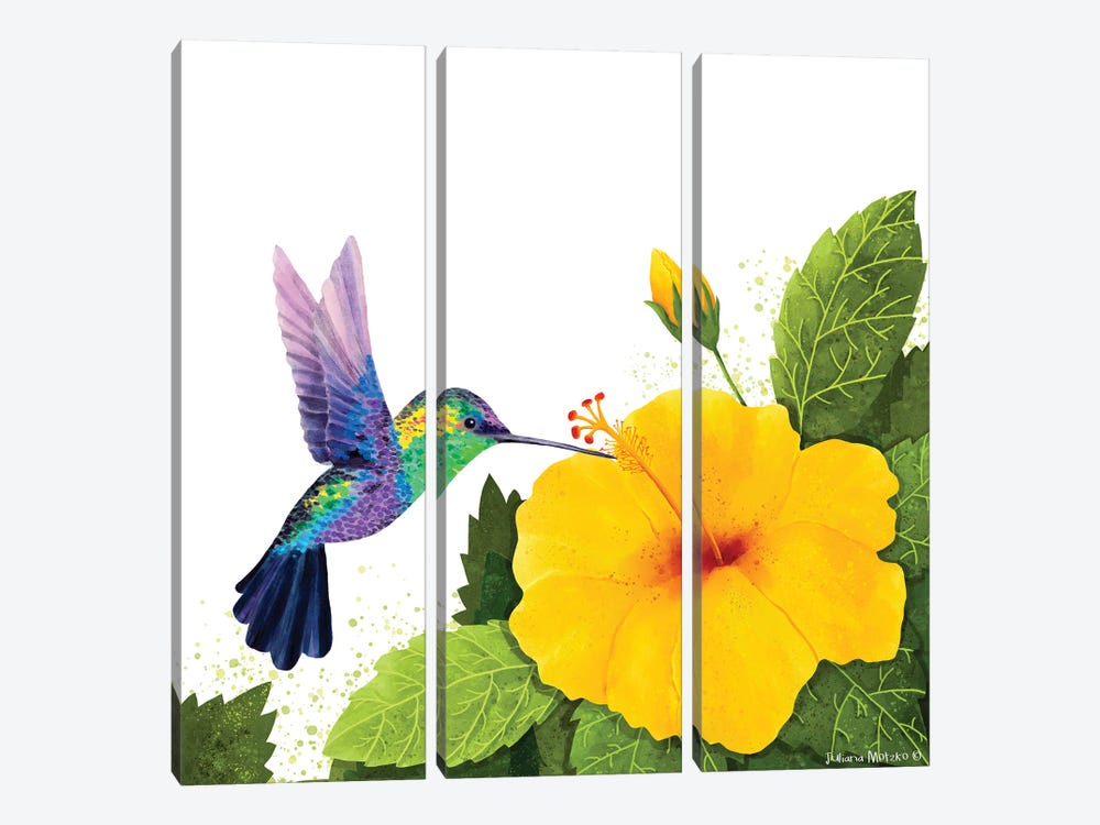 Hummingbird And Hibiscus by Juliana Motzko 3-piece Canvas Wall Art