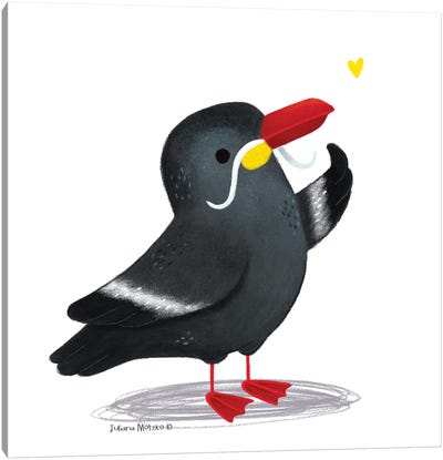 Inca Tern Bird Canvas Art Print - Tern Art