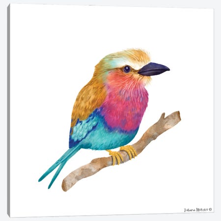 Lila Breasted Roller Bird Canvas Print #JMK97} by Juliana Motzko Canvas Wall Art