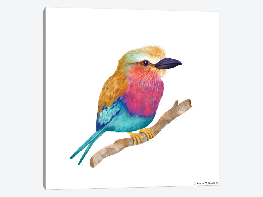 Lila Breasted Roller Bird by Juliana Motzko 1-piece Canvas Art Print