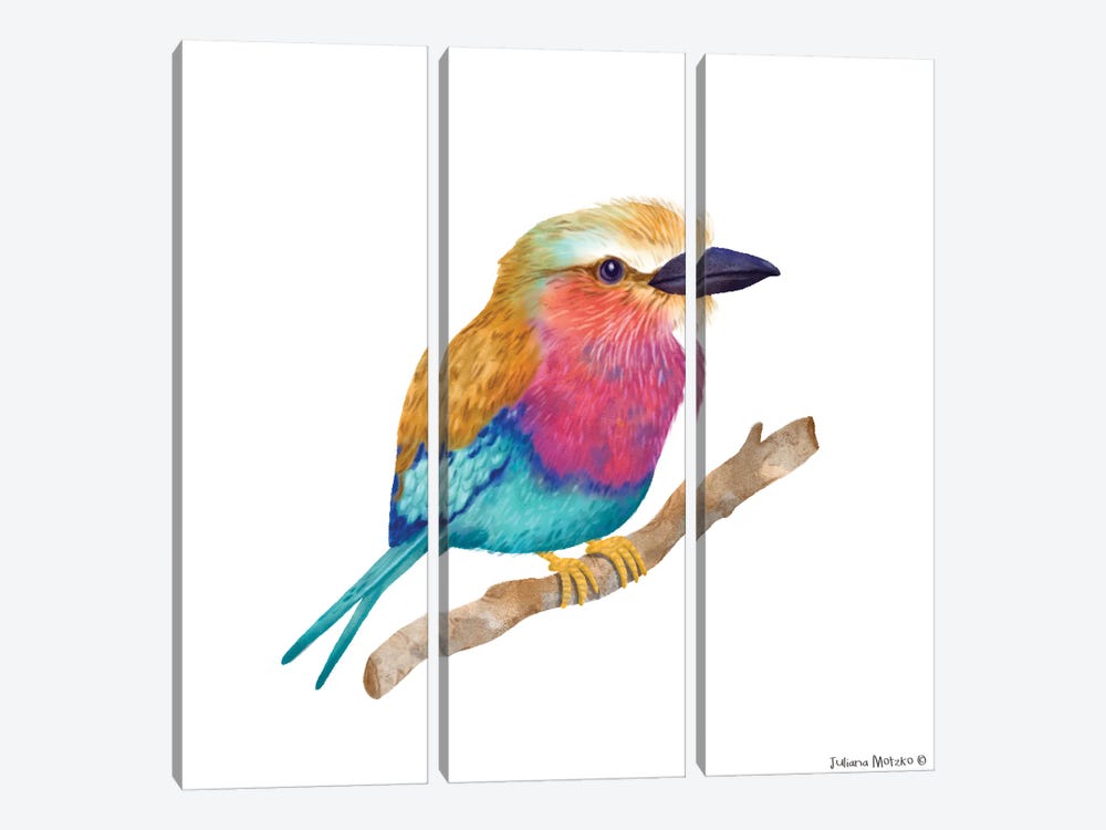 Lila Breasted Roller Bird by Juliana Motzko 3-piece Art Print