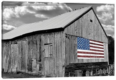 Flags of Our Farmers IV Canvas Art Print