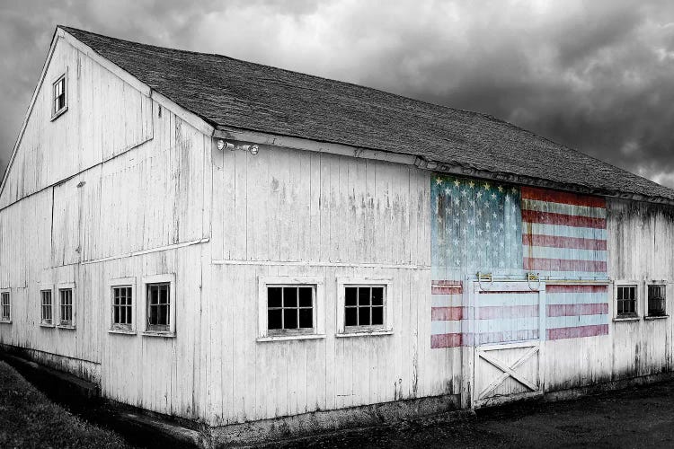 Flags of Our Farmers VIII