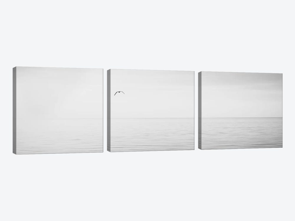 Black & White Water Panel XVI by James McLoughlin 3-piece Canvas Art