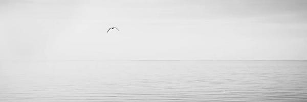 James McLoughlin: Black & White Water Panel XVI by James McLoughlin