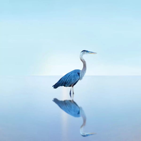 James McLoughlin: Beachscape Heron II by James McLoughlin