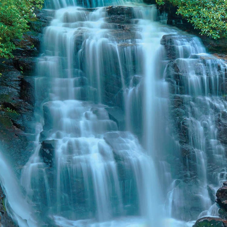 Waterfall Portrait III