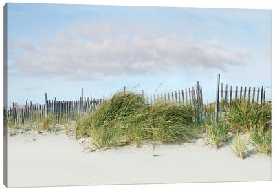 Beachscape IV Canvas Art Print