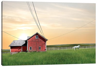 Farm & Country IV Canvas Art Print