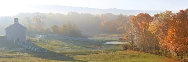 James McLoughlin: Farm & Country VII by James McLoughlin