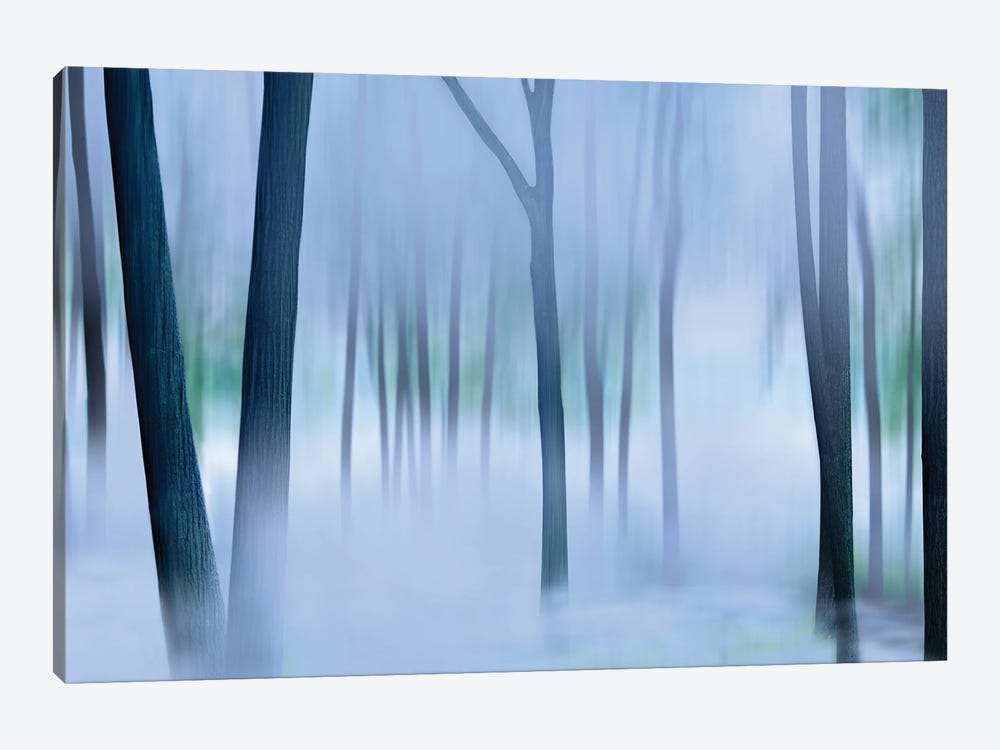 Misty Mountains XVI by James McLoughlin 1-piece Canvas Art