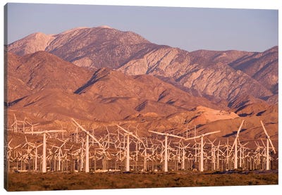 A Wind Farm In The San Gorgonio Mountain Pass I, Palm Springs, California Canvas Art Print - Palm Springs Art