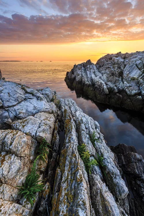 Sunrise on Appledore Island in the Isles of Shoals, New Hampshire I