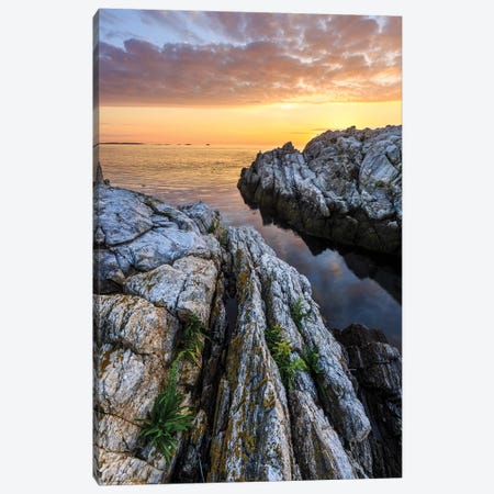 Sunrise on Appledore Island in the Isles of Shoals, New Hampshire I Canvas Print #JMM7} by Jerry & Marcy Monkman Canvas Art