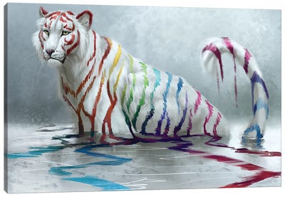 Rainbow Canvas Art Print