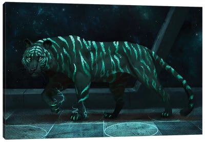 Space Tiger Canvas Art Print