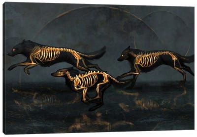 Bound Canvas Art Print - Skeleton Art