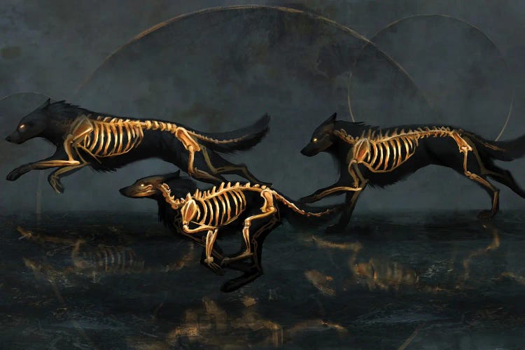 Bound by Jade Merien wall art