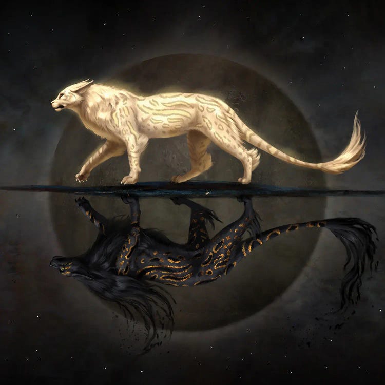 Light And Shadow Cat by Jade Merien wall art