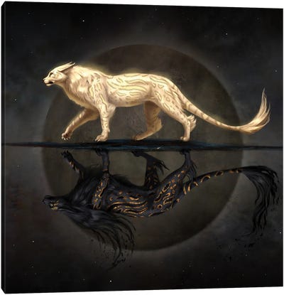 Light And Shadow Cat Canvas Art Print - Jade Merien