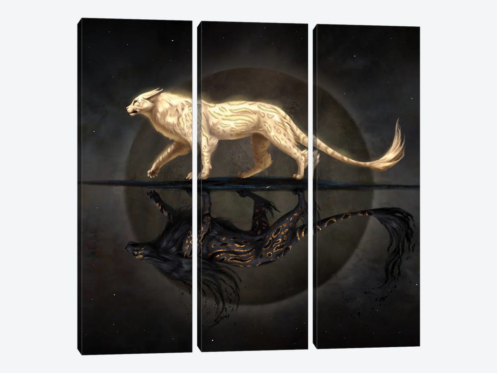 Light And Shadow Cat by Jade Merien 3-piece Canvas Print