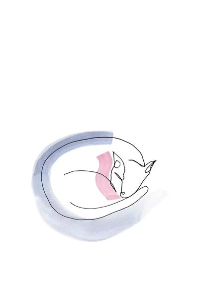 Contour Cat by Jacqueline Maldonado framed canvas print