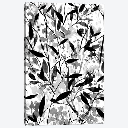 Wandering Wildflowers Black And White Canvas Print #JMO199} by Jacqueline Maldonado Canvas Wall Art