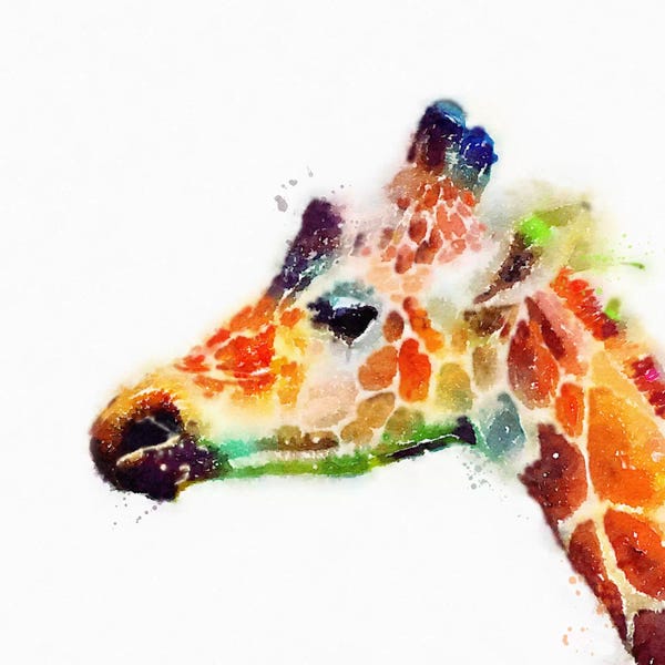 Famous Palaces & Residences: The Graceful by Jacqueline Maldonado