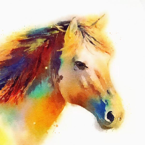 Horses: The Spirited by Jacqueline Maldonado