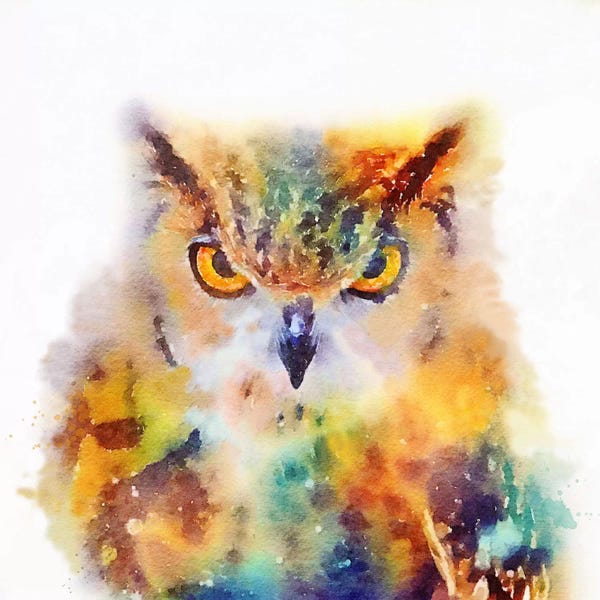 Jacqueline Maldonado: The Wise by Jacqueline Maldonado